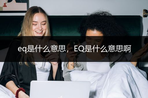 eq是什么意思，EQ是什么意思啊